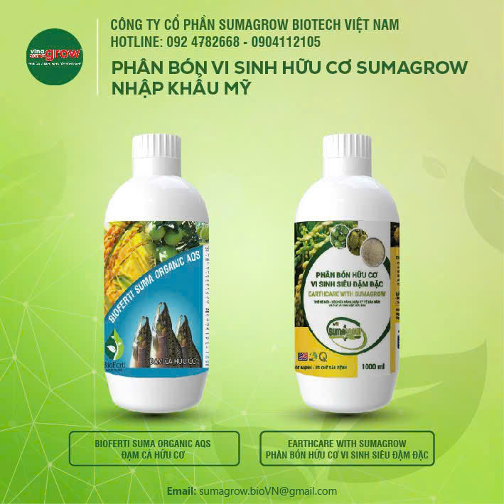 Bộ đôi phân bón vi sinh